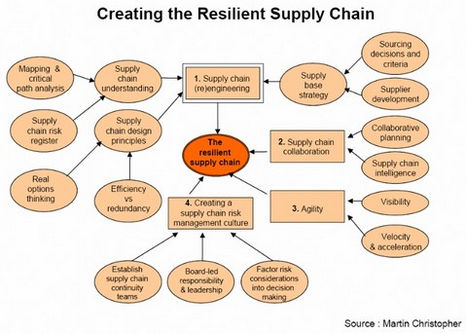 christopher-resilience-framework