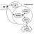 cheng-kam-risk-in-supply-networks-thumb