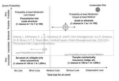 manuj-dittmann-gaudenzi-risk-management