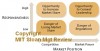 sheffi-company-responsiveness-market-position