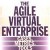 agile-enterprise-goranson