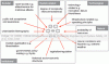 Risks faced by critical infrastructures